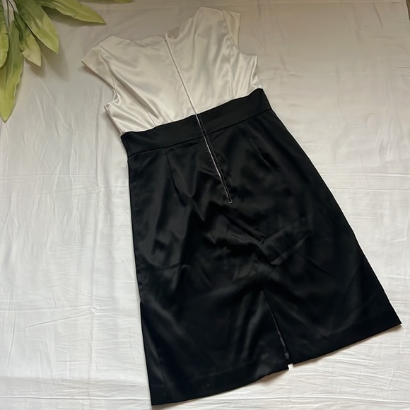 Sandra Darren Dress - Picture 3 of 4